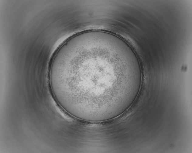 X0000112740894200909101513