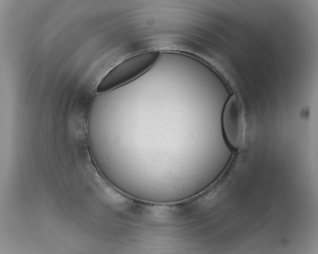 X0000112740897200909101513