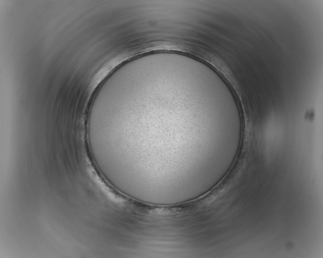 X0000112740898200909101513