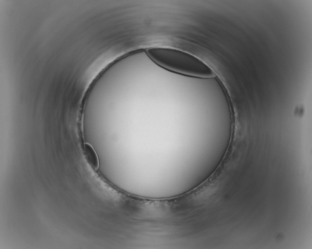 X0000112740901200909101513