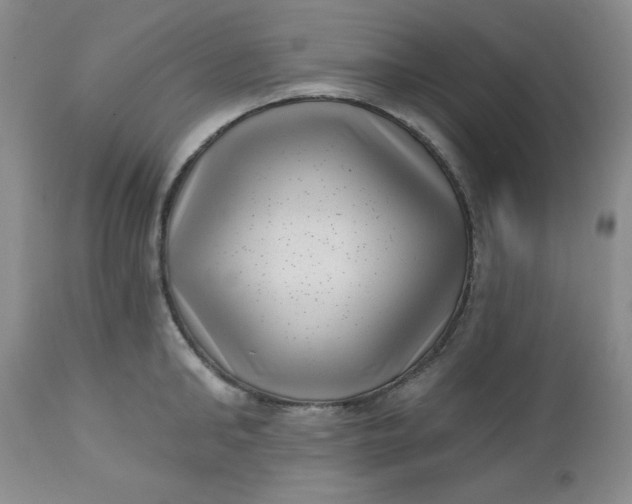 X0000112740902200909101513