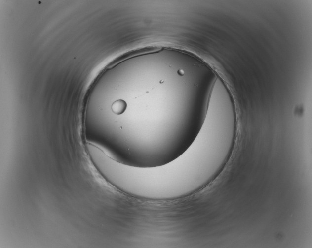 X0000112740904200909101513