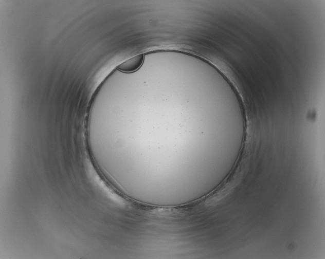 X0000112740906200909101512