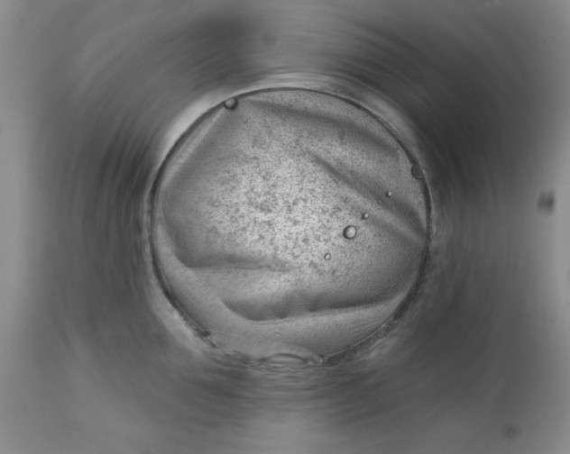 X0000112740907200909101512