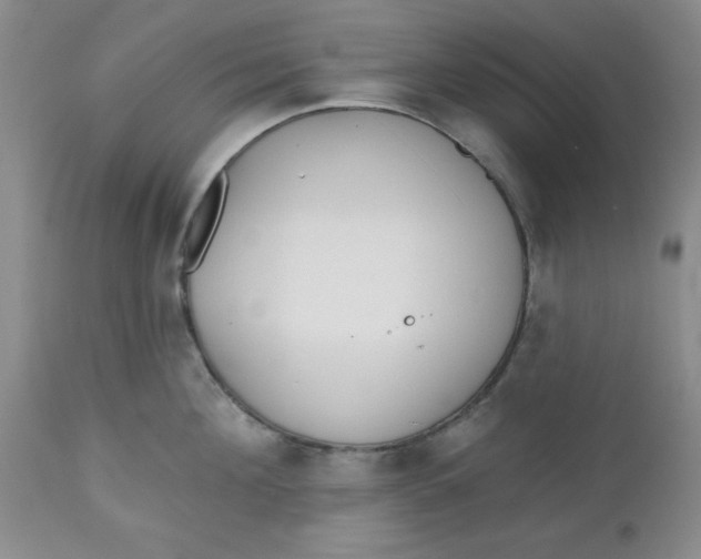 X0000112740908200909101512