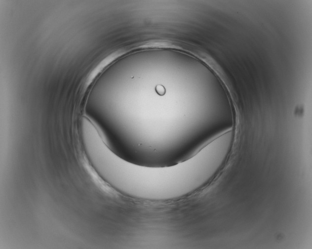 X0000112740909200909101512