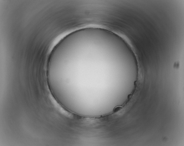 X0000112740910200909101512