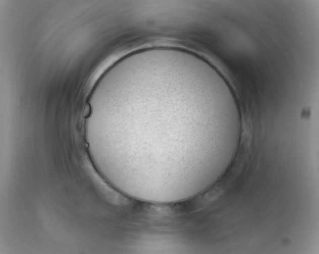 X0000112740911200909101512