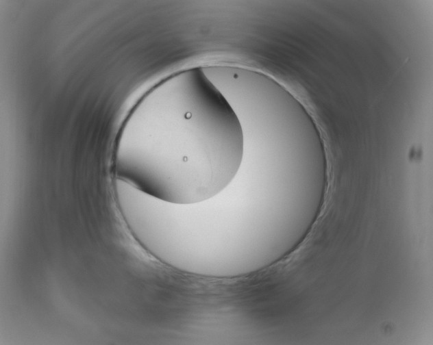 X0000112740912200909101512