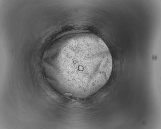 X0000112740913200909101512