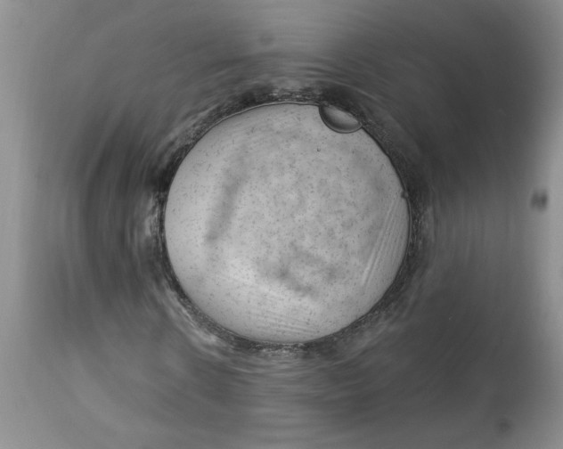 X0000112740914200909101512