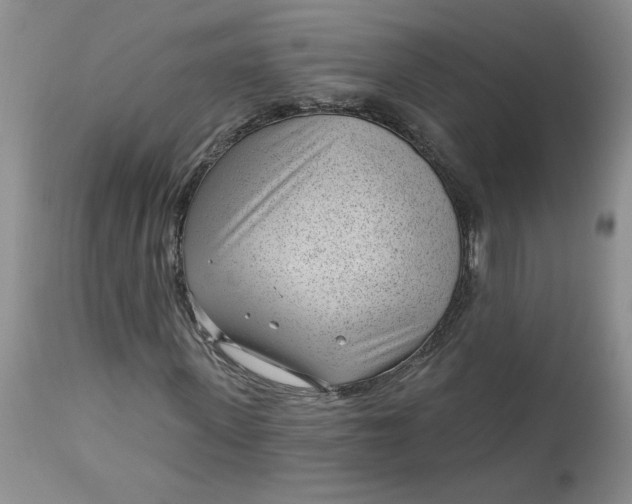 X0000112740915200909101512