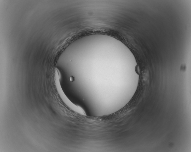 X0000112740916200909101512