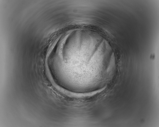 X0000112740917200909101512