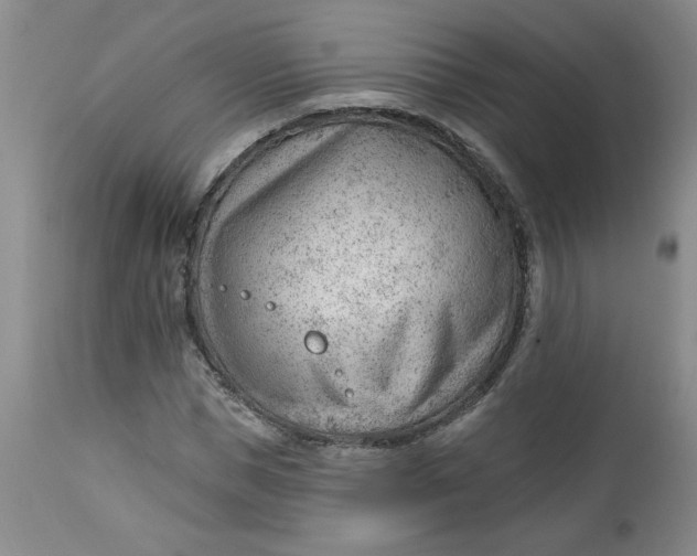 X0000112740921200909101512