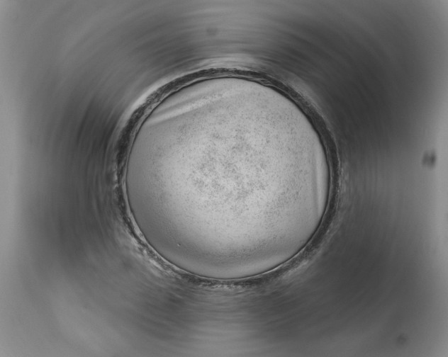 X0000112740923200909101512