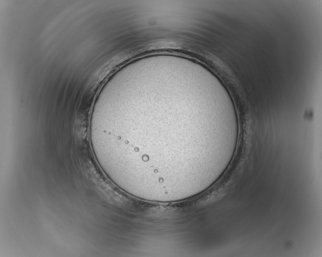 X0000112740929200909101512