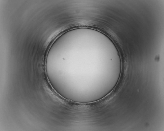 X0000112740930200909101512