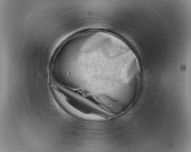 X0000112740935200909101512