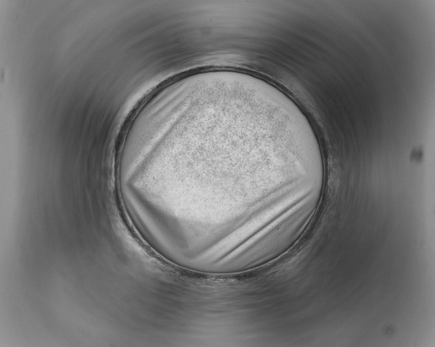 X0000112740939200909101512