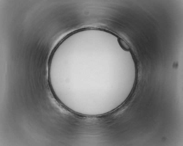 X0000112740940200909101512