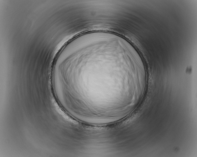 X0000112740941200909101512