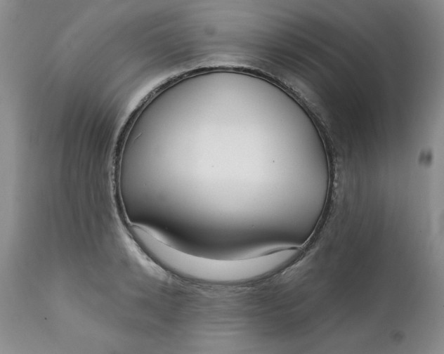 X0000112740942200909101512