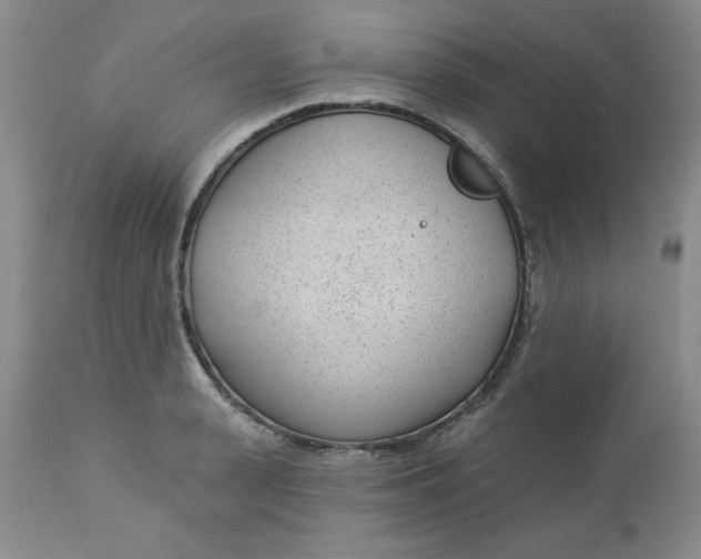 X0000112740943200909101512