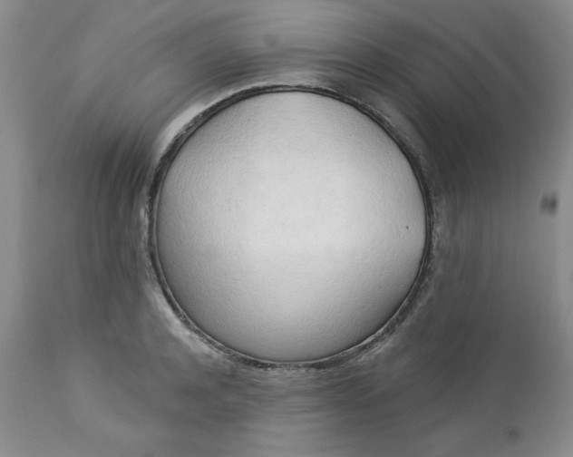 X0000112740944200909101512