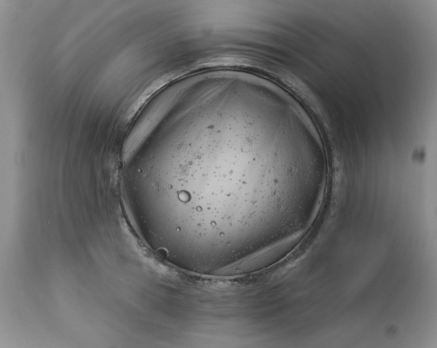 X0000112740945200909101512