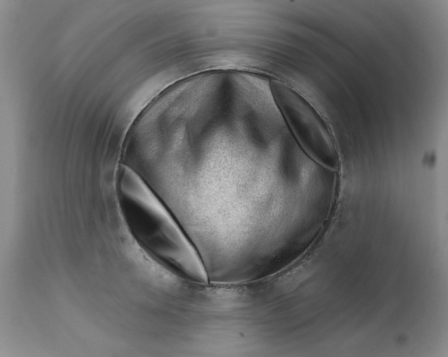 X0000112740946200909101512