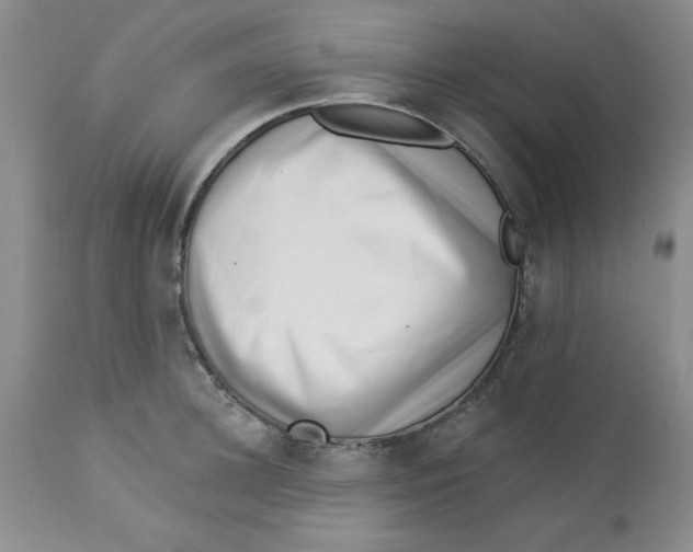 X0000112740948200909101512