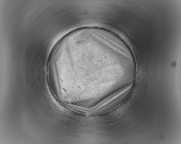 X0000112740951200909101512