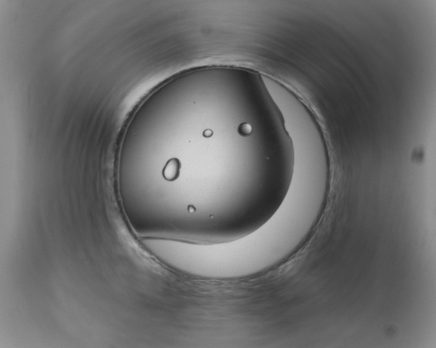 X0000112740952200909101512