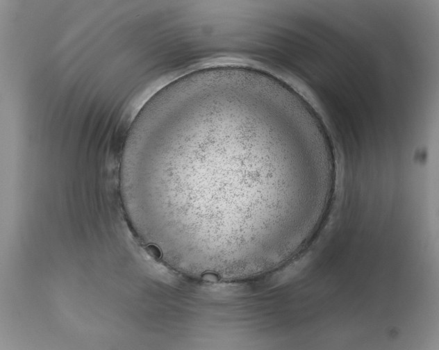 X0000112740953200909101512