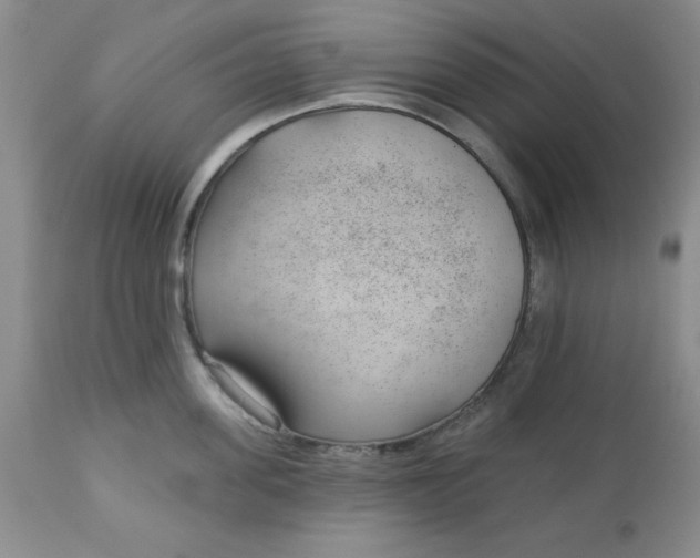 X0000112740955200909101512