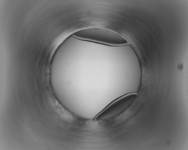 X0000112740956200909101512