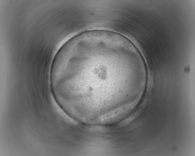 X0000112740957200909101512