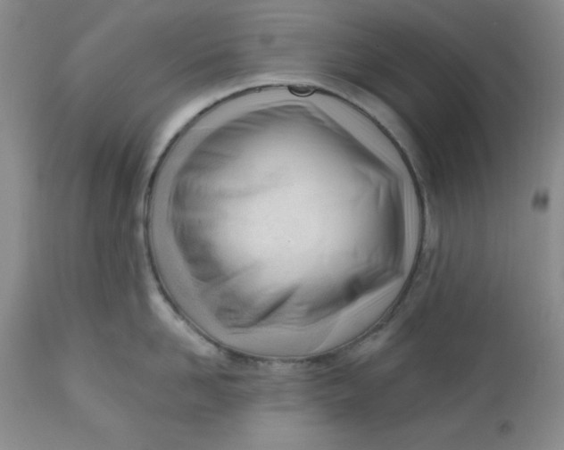 X0000112740958200909101512