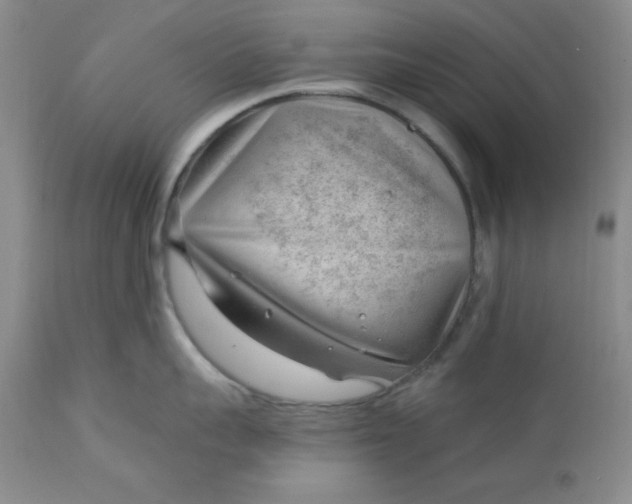 X0000112740959200909101512