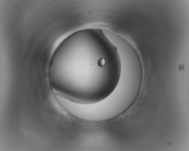 X0000112740960200909101512