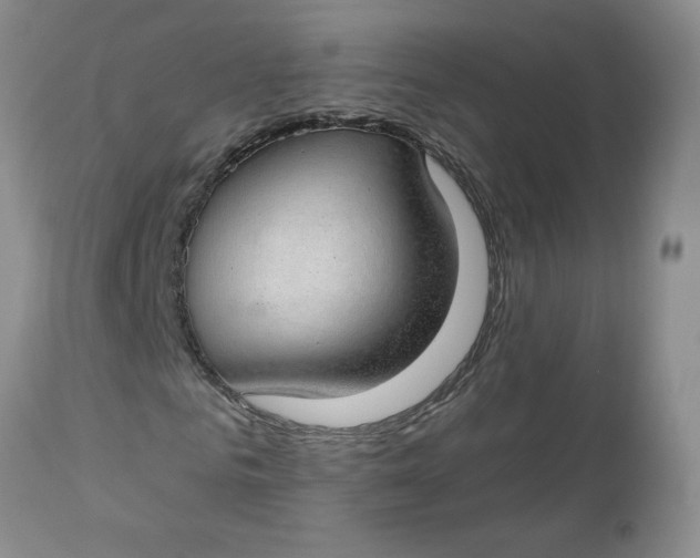 X0000112740961200909101512