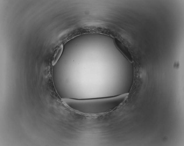 X0000112740965200909101512