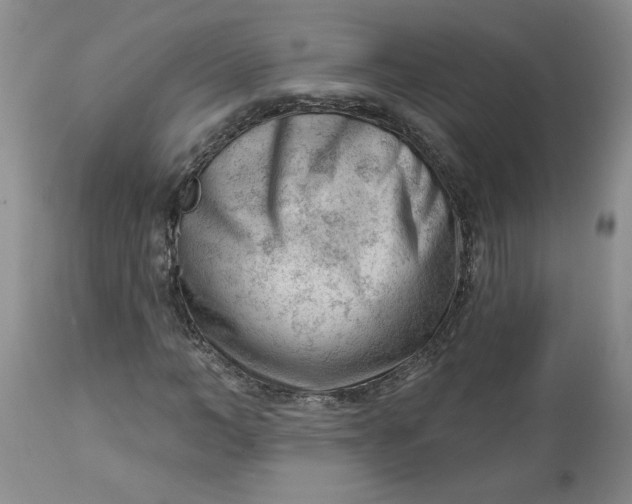 X0000112740966200909101512