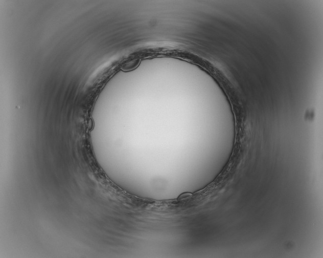 X0000112740967200909101512