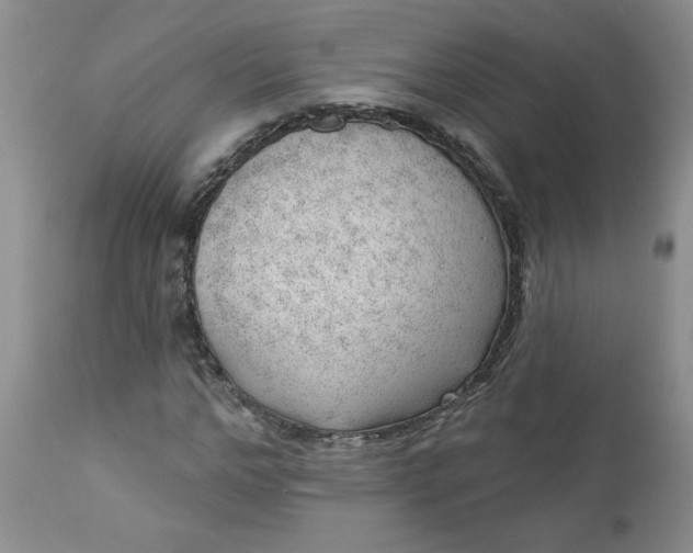 X0000112740968200909101512