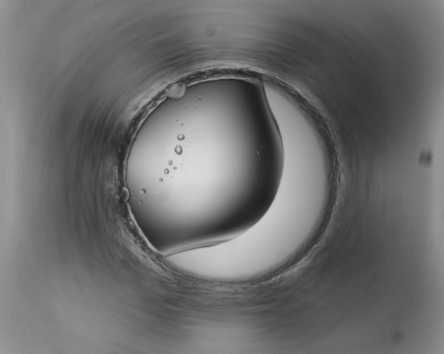 X0000112740969200909101512