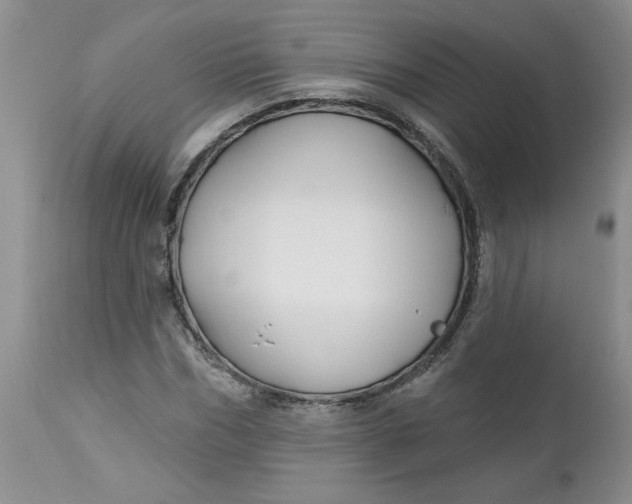 X0000112740970200909101512