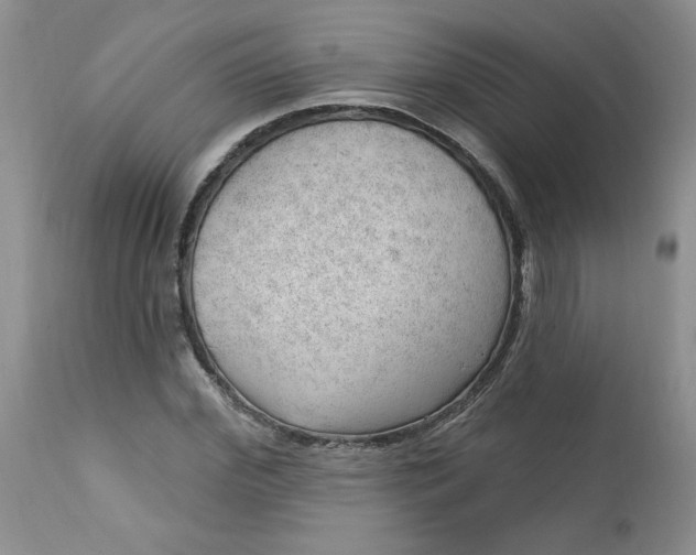 X0000112740972200909101512