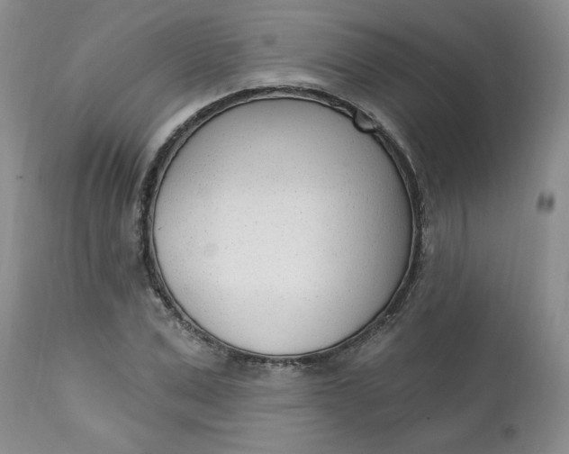 X0000112740975200909101512